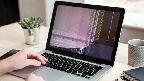 Screen
